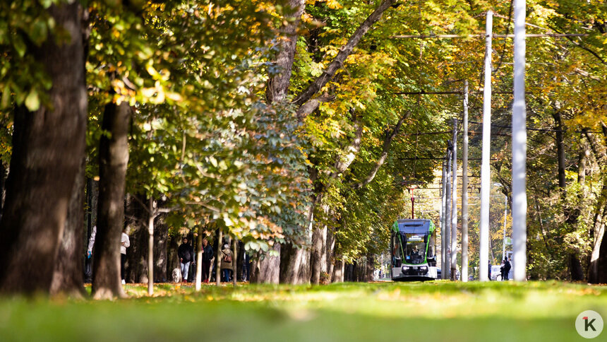 Новогодний подарок: в мэрии назвали сроки запуска трамвая №5 до Бассейной - Новости Калининграда | Фото: Александр Подгорчук / Архив «Клопс»