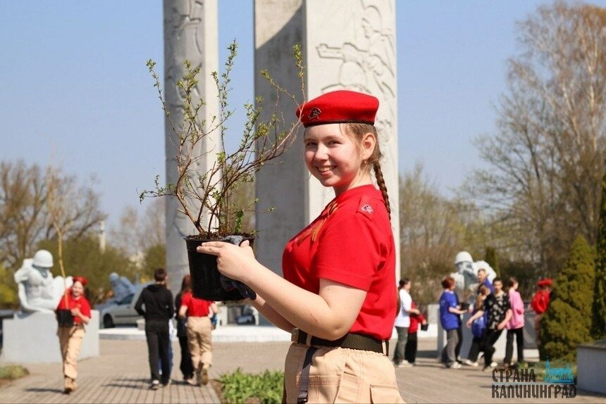 Восьмиклассница София Левченко стала волонтёром-наставником для четвероклашек. | Фото: Александр Мелехов