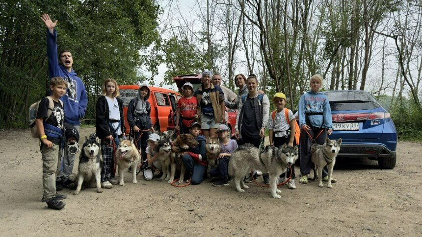 Хвостатые друзья: где собаки-терапевты помогают бороться со стрессом в Калининграде - Новости Калининграда