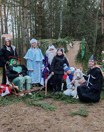 Зимняя сказка с хаски и поиски волшебного сундука в зачарованном лесу: где провести новогодние каникулы в Калининграде - Новости Калининграда