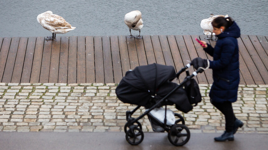 Беременна в 18: Матвиенко призвала россиянок рожать после достижения совершеннолетия - Новости Калининграда | Фото: Александр Подгорчук / Архив «Клопс»