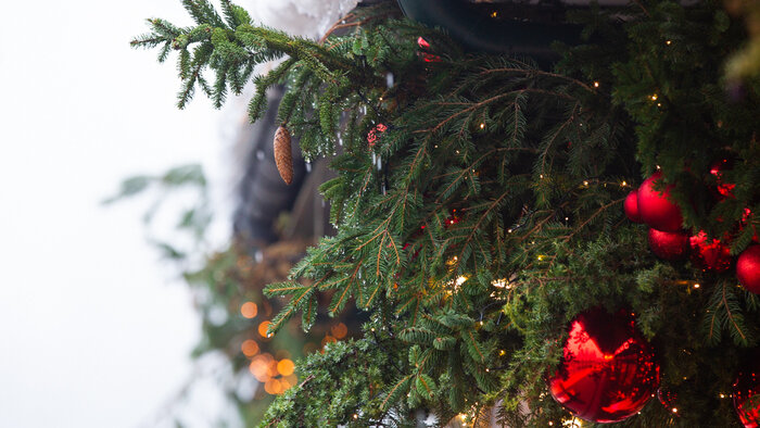 Дятлова рассказала, где в Калининграде уже появились новогодние украшения   - Новости Калининграда | Фото: «Клопс»