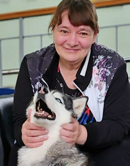 Хвостатые друзья: где собаки-терапевты помогают бороться со стрессом в Калининграде - Новости Калининграда