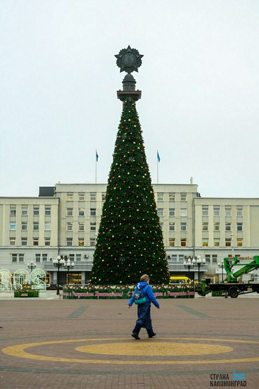 Старая елка переедет на Верхнее озеро, а на площади Победы установят новую. | Фото: Александр Мелехов