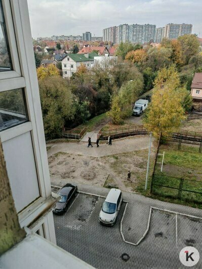 В Калининграде снесли очередную детскую площадку - Новости Калининграда | Фото читателя