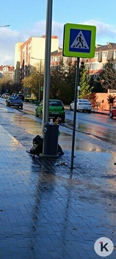 В Калининграде отремонтированная улица заросла мусором (фото) - Новости Калининграда | Фото читателя