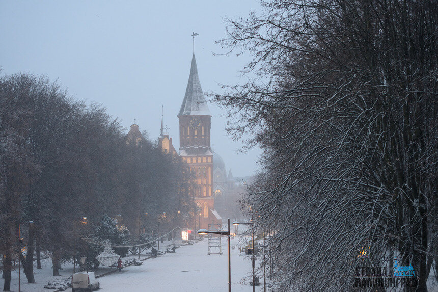 Калининград уходит под снег: город стремительно белеет | Фото: Александр Мелехов