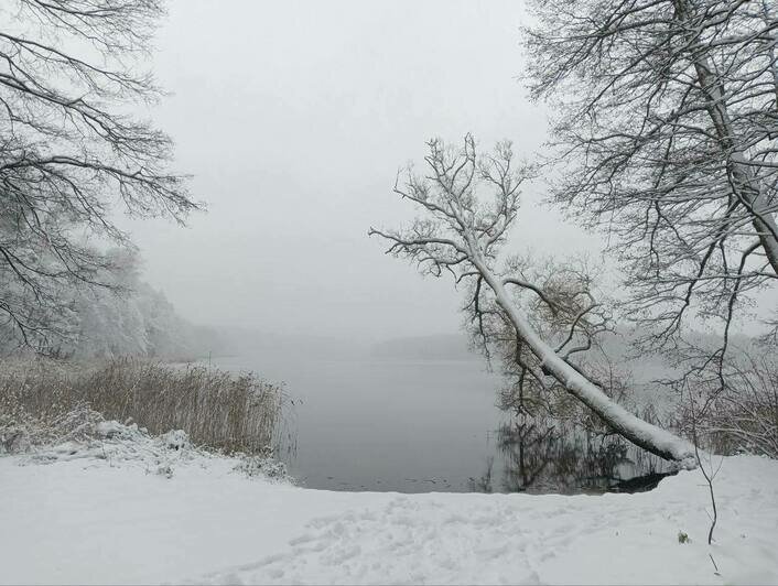 Зимняя сказка: восток Калининградской области замело толстым слоем снега (фото) - Новости Калининграда | Фото: Виштынецкий национальный парк