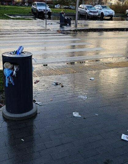 В Калининграде отремонтированная улица заросла мусором (фото) - Новости Калининграда | Фото читателя