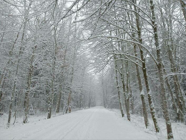 Зимняя сказка: восток Калининградской области замело толстым слоем снега (фото) - Новости Калининграда | Фото: Виштынецкий национальный парк
