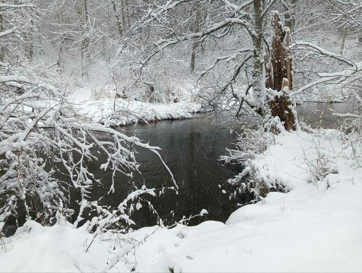 Зимняя сказка: восток Калининградской области замело толстым слоем снега (фото) - Новости Калининграда | Фото: Виштынецкий национальный парк