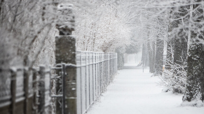 Снег немного припозднится: прогноз погоды в Калининграде и области на 26 ноября - Новости Калининграда | Фото: Александр Подгорчук / Архив «Клопс»