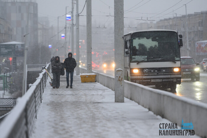 Калининград уходит под снег: город стремительно белеет | Фото: Александр Мелехов