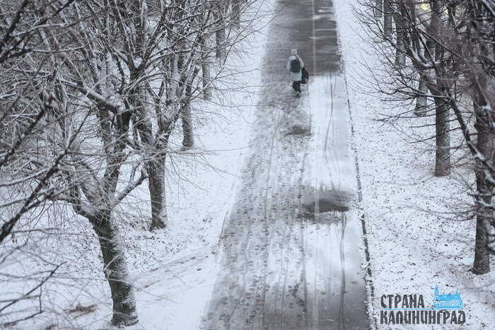 Калининград уходит под снег: город стремительно белеет | Фото: Александр Мелехов