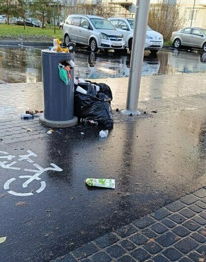 В Калининграде отремонтированная улица заросла мусором (фото) - Новости Калининграда | Фото читателя