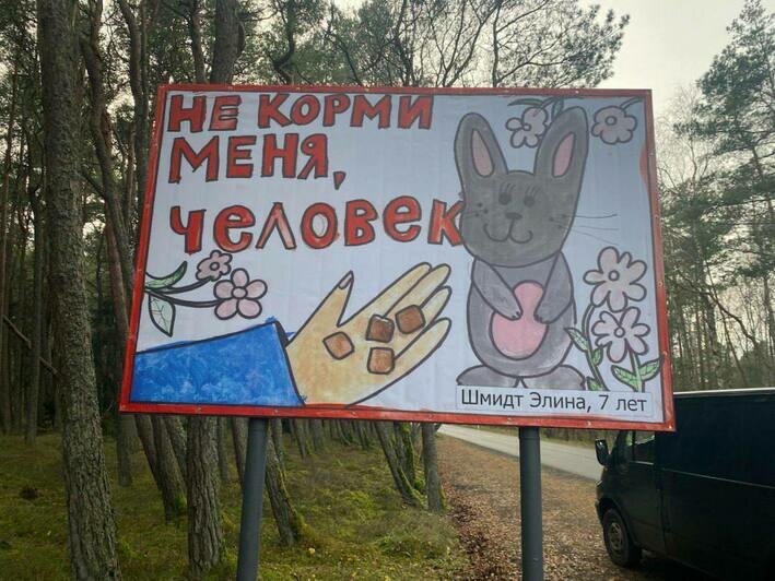 «Не корми меня!»: детские рисунки появились на билбордах вдоль дороги на Куршской косе (фото)   - Новости Калининграда | Фото: пресс-служба нацпарка
