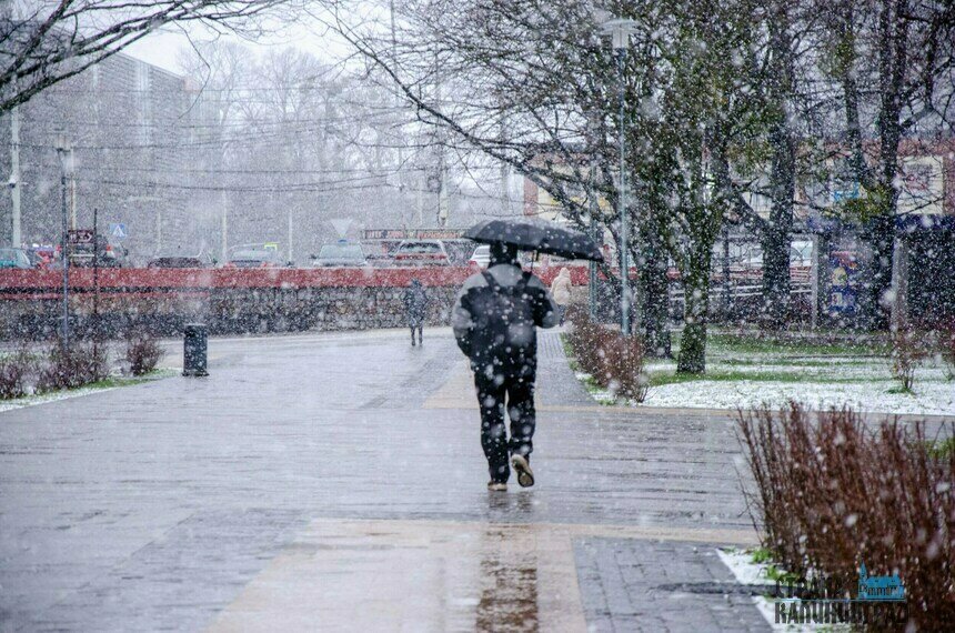 Год назад сильный снег шёл в Калининграде в эти же дни. | Фото: Александр Мелехов