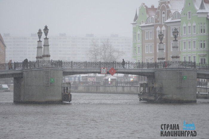Калининград уходит под снег: город стремительно белеет | Фото: Александр Мелехов