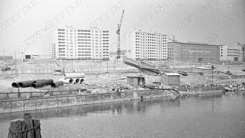 В госархиве показали, как выглядел Московский проспект во второй половине 1970-х годов - Новости Калининграда | Фото: госархив