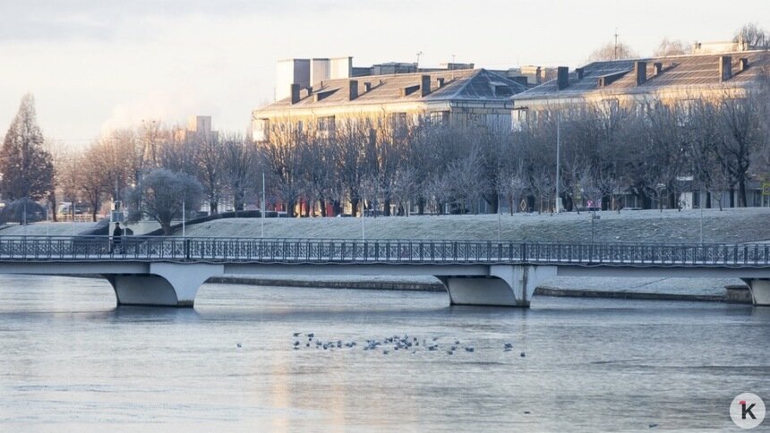 Погода в Калининграде и области в четверг - Новости Калининграда | Фото: Александр Подгорчук / «Клопс»