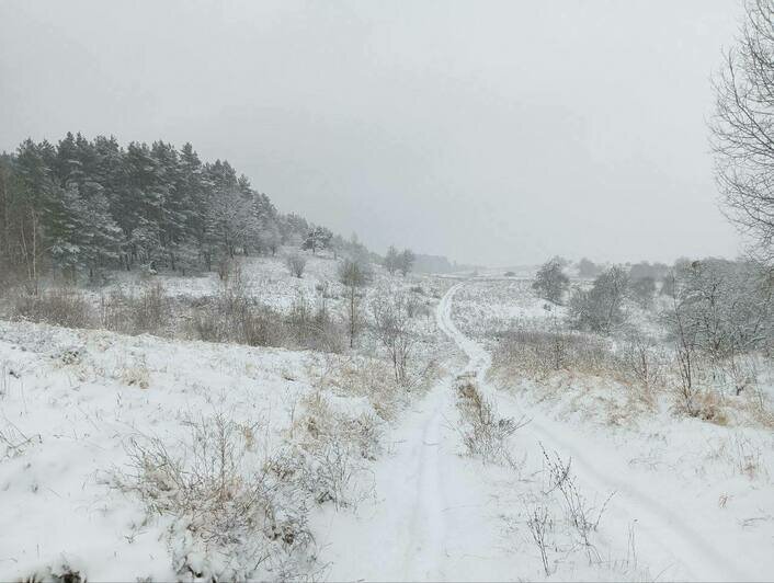Зимняя сказка: восток Калининградской области замело толстым слоем снега (фото) - Новости Калининграда | Фото: Виштынецкий национальный парк