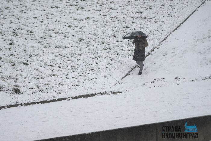 Калининград уходит под снег: город стремительно белеет | Фото: Александр Мелехов