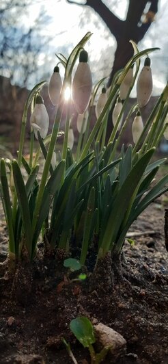 «В Калининграде грех работать, надо путешествовать»: уроженка Камчатки 9 лет ведёт дневник о прогулках по городу (фото) - Новости Калининграда | Фото: Наталья Гутенева