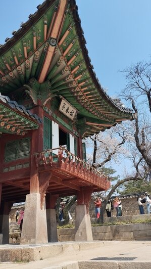 Калининградка слетала в Южную Корею и рассказала о вещах, которые полезно знать путешествующим на другой конец света - Новости Калининграда | Фото: «Клопс»