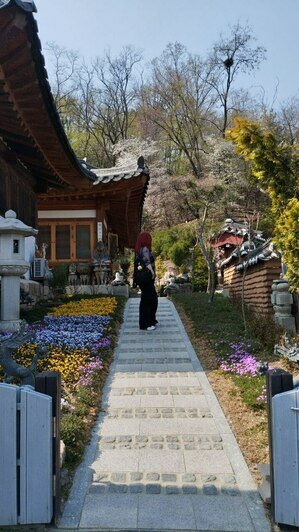 Калининградка слетала в Южную Корею и рассказала о вещах, которые полезно знать путешествующим на другой конец света - Новости Калининграда | Фото: «Клопс»