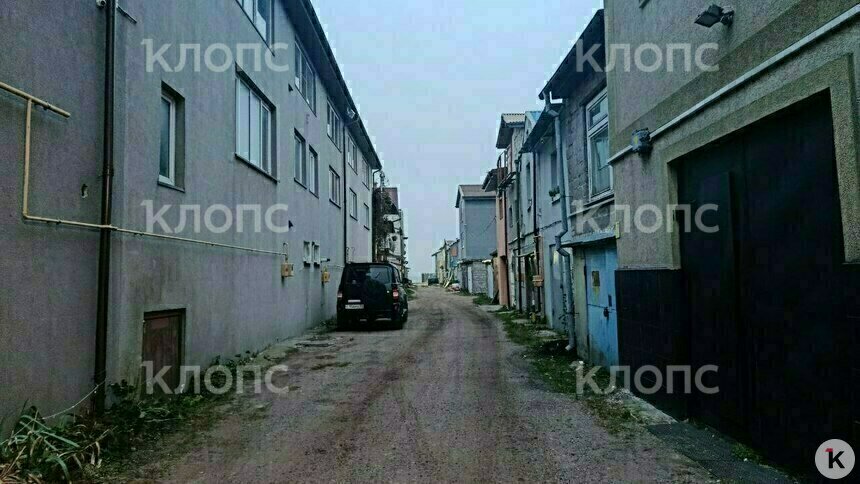 В Калининграде на студентку набросился крупный агрессивный пёс (видео)  - Новости Калининграда | Фото: Вероника