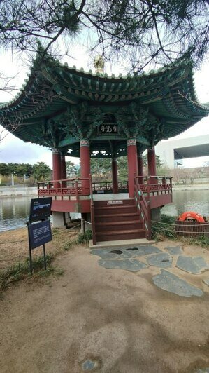 Калининградка слетала в Южную Корею и рассказала о вещах, которые полезно знать путешествующим на другой конец света - Новости Калининграда | Фото: «Клопс»