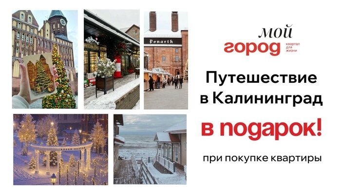 Выбери своё новогоднее спецпредложение в ЖК «Мой город» - Новости Калининграда