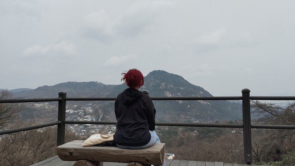 Калининградка слетала в Южную Корею и рассказала о вещах, которые полезно знать путешествующим на другой конец света - Новости Калининграда | Фото: «Клопс»