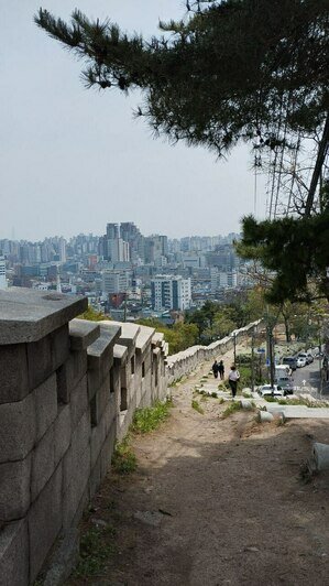 Калининградка слетала в Южную Корею и рассказала о вещах, которые полезно знать путешествующим на другой конец света - Новости Калининграда | Фото: «Клопс»