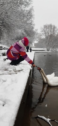 «В Калининграде грех работать, надо путешествовать»: уроженка Камчатки 9 лет ведёт дневник о прогулках по городу (фото) - Новости Калининграда | Фото: Наталья Гутенева