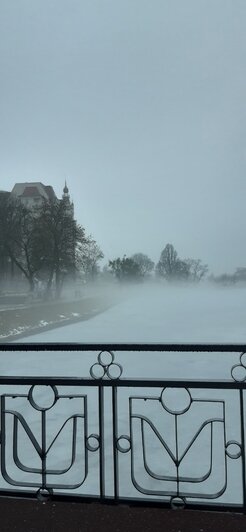 «В Калининграде грех работать, надо путешествовать»: уроженка Камчатки 9 лет ведёт дневник о прогулках по городу (фото) - Новости Калининграда | Фото: Наталья Гутенева