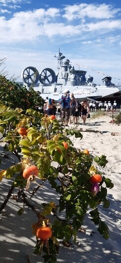 «В Калининграде грех работать, надо путешествовать»: уроженка Камчатки 9 лет ведёт дневник о прогулках по городу (фото) - Новости Калининграда | Фото: Наталья Гутенева