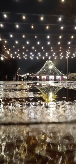 «В Калининграде грех работать, надо путешествовать»: уроженка Камчатки 9 лет ведёт дневник о прогулках по городу (фото) - Новости Калининграда | Фото: Наталья Гутенева