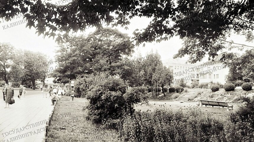 В госархиве показали, как выглядел сквер возле Центрального парка в 1960-е годы - Новости Калининграда | Фото: госархив