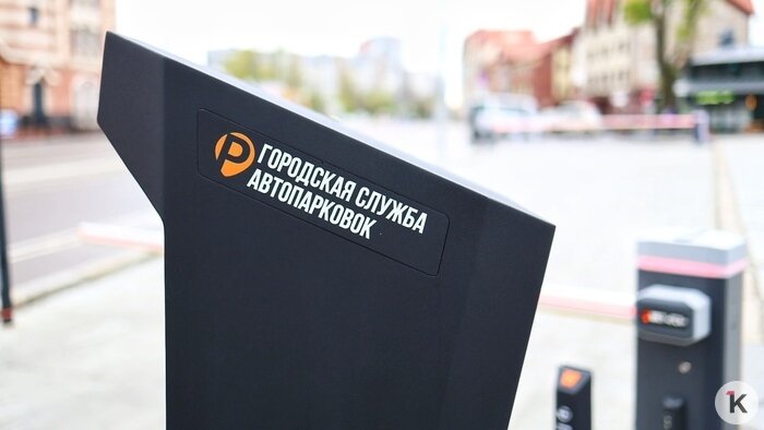 Литовские желания, транспортный тупик и избавление от самокатов: cобытия недели, которые обсуждали в Калининграде   - Новости Калининграда | Фото: Александр Подгорчук / Архив «Клопс»