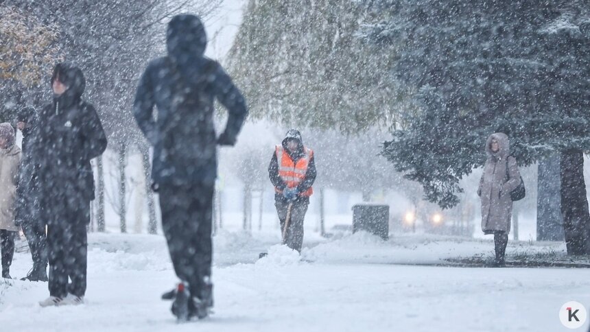 «Дворник наш до света встал, что есть силы снег метал»: музыкальный дайджест калининградских новостей за неделю (видео)   - Новости Калининграда | Фото: Александр Подгорчук / Архив «Клопс»