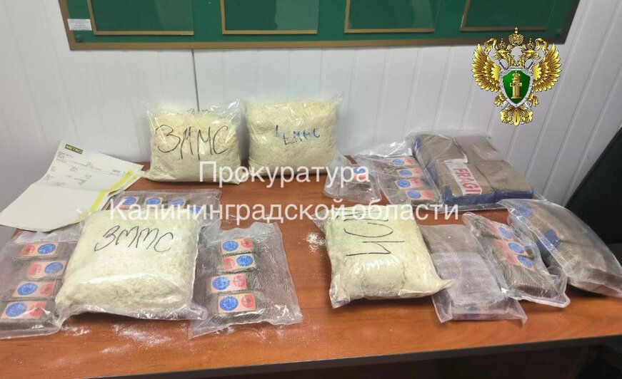 В Калининградскую область попытались ввезти 16 кг наркотиков в коробках от стирального порошка - Новости Калининграда | Фото: прокуратура Калининградской области 