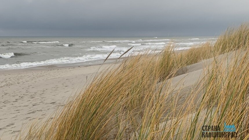 На выходных на побережье будет на пару градусов теплее. | Фото: Оксана Сазонова