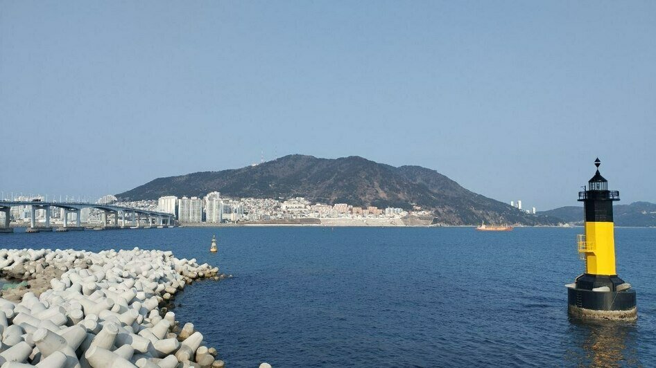 Калининградка слетала в Южную Корею и рассказала о вещах, которые полезно знать путешествующим на другой конец света - Новости Калининграда | Фото: «Клопс»