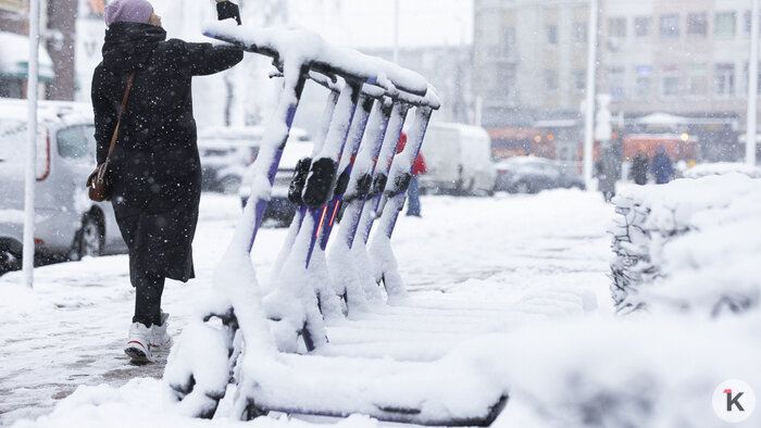 Литовские желания, транспортный тупик и избавление от самокатов: cобытия недели, которые обсуждали в Калининграде   - Новости Калининграда | Фото: Александр Подгорчук / Архив «Клопс»