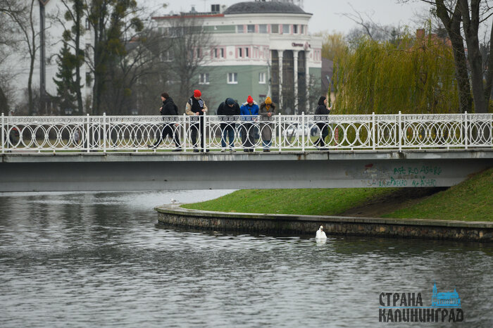 Район Верхнего озера (Калининград). | Фото: Александр Мелехов