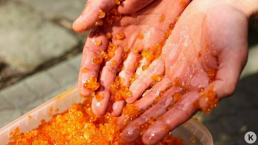 Россиян заверили, что перед Новым годом не будет дефицита красной икры   - Новости Калининграда | Фото: Александр Подгорчук / Архив «Клопс»