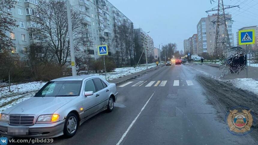 На Олега Кошевого сбили ребёнка на пешеходном переходе   - Новости Калининграда | Фото: Госавтоинспекция Калининградской области