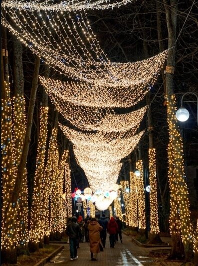 Километры гирлянд, ёлки и парад планет: 4 города в Калининградской области, где уже ждут Новый год (фото, видео)   - Новости Калининграда | Фото: &quot;Типичный Пионерский и Светлогорск&quot; ВКонтакте