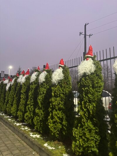 Километры гирлянд, ёлки и парад планет: 4 города в Калининградской области, где уже ждут Новый год (фото, видео)   - Новости Калининграда